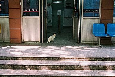 《寂静岭2：重制版》更新发布 但没有解决PS5 Pro闪烁问题