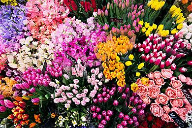 《燕云十六声》墨门遗孤容鸢介绍 武侠与科技结合